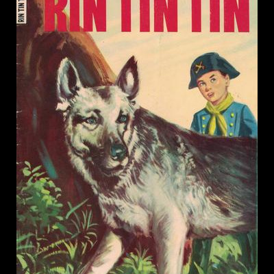 Rin Tin Tin N.º 30