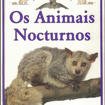 Aprender a Ver Os Animais Nocturnos
