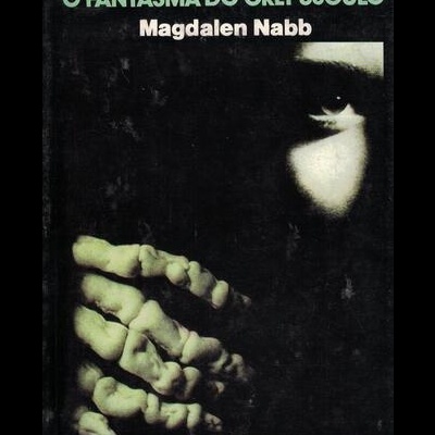O Fantasma do Crepúsculo | de Magdalen Nabb
