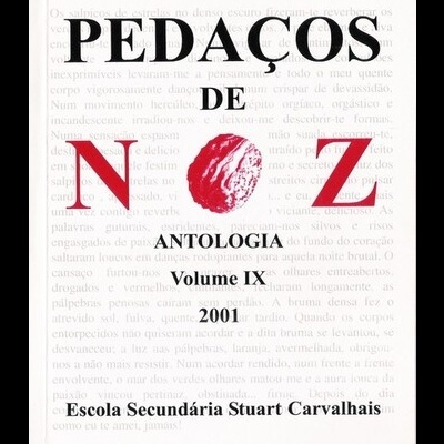 Pedaços de Noz - Volume IX - Antologia 2001 | de Alunos da Escola Secundária Stuart Carvalhais