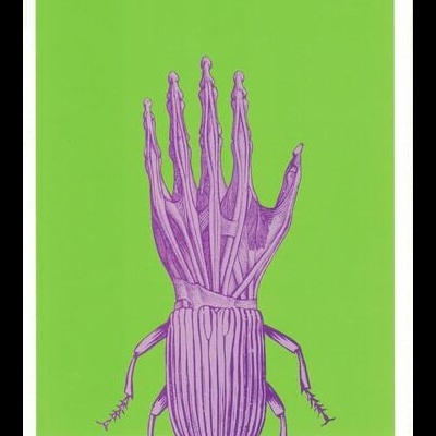 A Metamorfose | de Franz Kafka