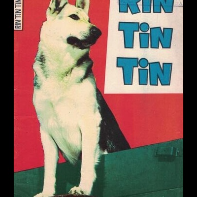 Rin Tin Tin N.º 42