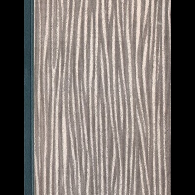 Haben und Nichthaben | de Ernest Hemingway