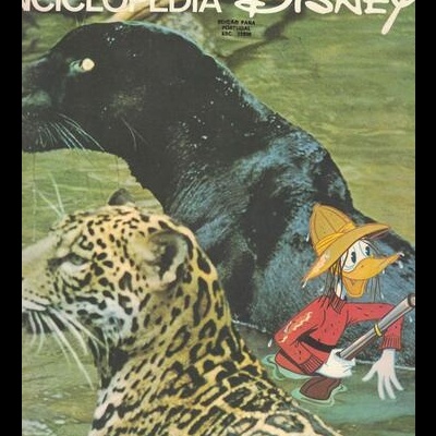 Enciclopédia Disney N.º 19