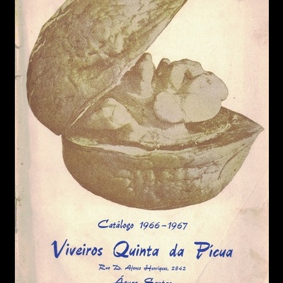 Viveiros Quinta da Pícua - Catálogo 1966-1967