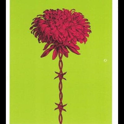 A Mulher de Trinta Anos | de Honoré de Balzac