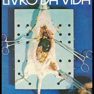 Livro da Vida N.º 39