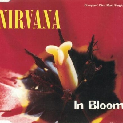 Nirvana | In Bloom [CD-Single]