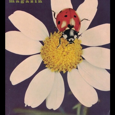 Foto Magazin - N.º 6 - Juni 1961