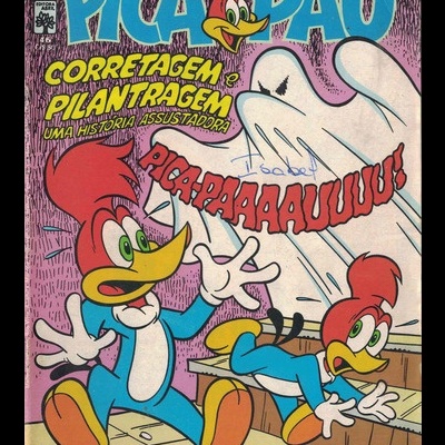O Pica-Pau N.º 46