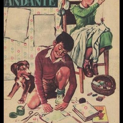 Cavaleiro Andante N.º 255