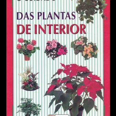 O Cuidado das Plantas de Interior