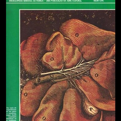 Medicina e Saúde N.º 45