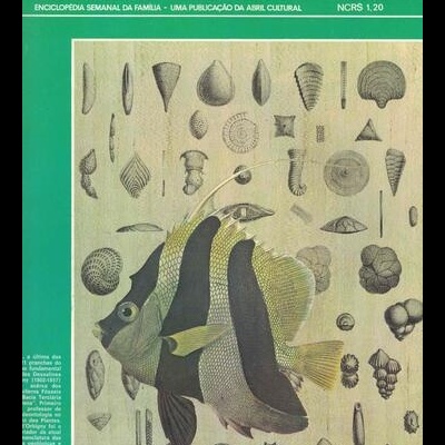 Medicina e Saúde N.º 100