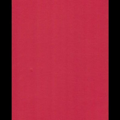 Um Coração Destroçado | de Stefan Zweig