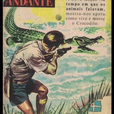 Cavaleiro Andante N.º 319