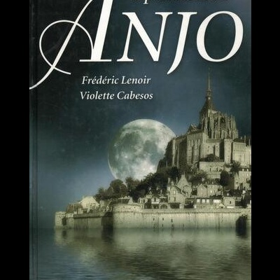 A Promessa do Anjo | de Frédéric Lenoir e Violette Cabesos
