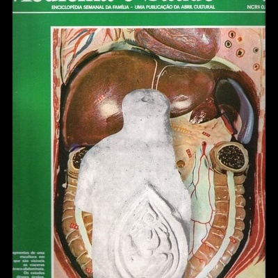 Medicina e Saúde N.º 7