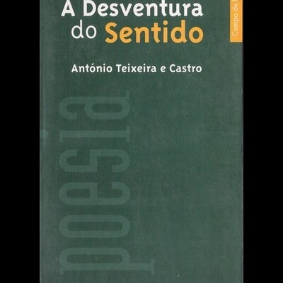 A Desventura do Sentido | de António Teixeira e Castro