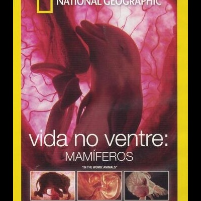 Vida no Ventre: Mamíferos [DVD]