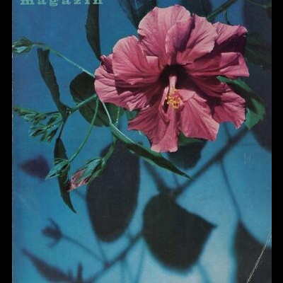 Foto Magazin - N.º 10 - Oktober 1961