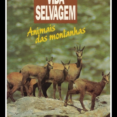 Vida Selvagem - Animais das Montanhas