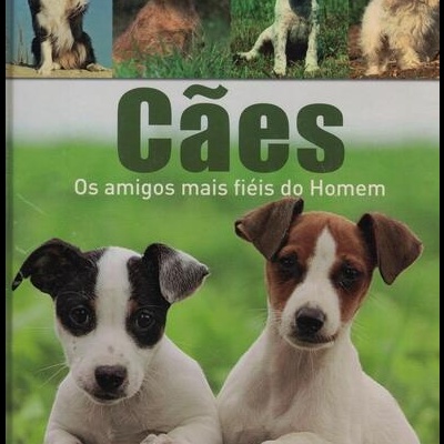 Cães | de Miriam Kuhl