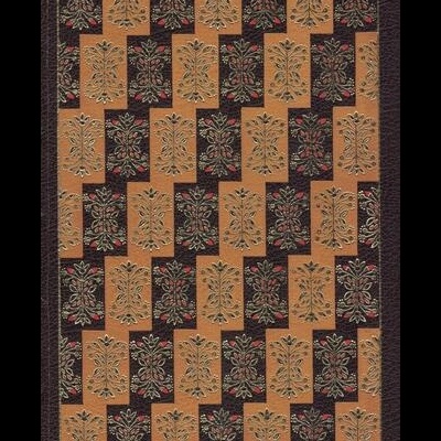 A Morgadinha dos Canaviais - Tomo II | de Júlio Dinis