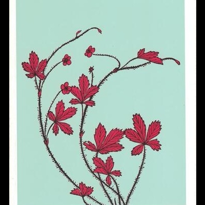 Cândido ou o Optimismo | de Voltaire