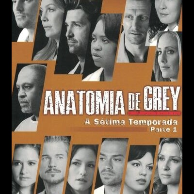 Anatomia de Grey - A Sétima Temporada - Parte 1 [3DVD]