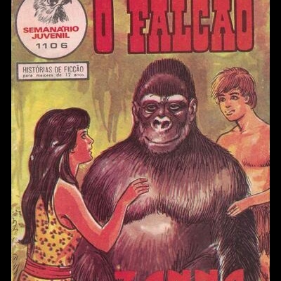 O Falcão - N.º 1106 - Zanna