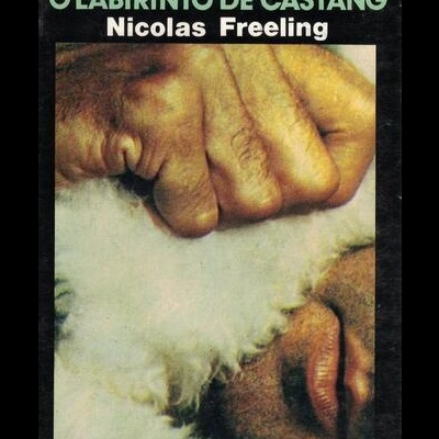 O Labirinto de Castang | de Nicolas Freeling