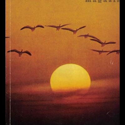 Foto Magazin - N.º 11 - November 1963