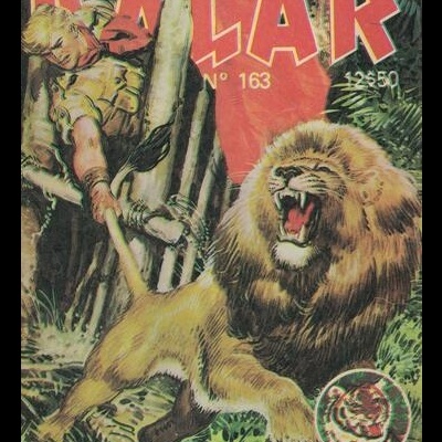 Tigre - N.º 163 - Kalar