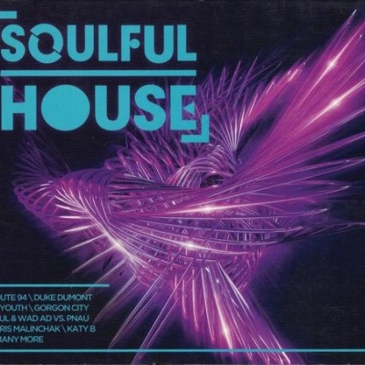 VA | Soulful House [2CD]