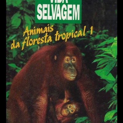 Vida Selvagem - Animais da Floresta Tropical - I