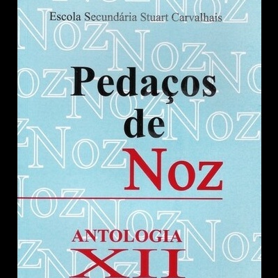 Pedaços de Noz - Volume XII - Antologia 2004 | de Alunos da Escola Secundária Stuart Carvalhais