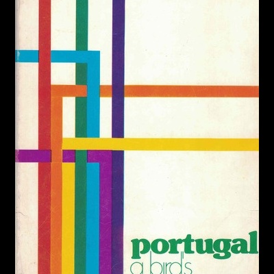 Portugal - A Bird's Eye View