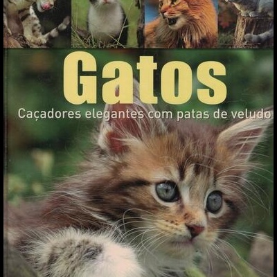 Gatos | de Birgit Adam, Beate Ralston, Julia Christ, Ines Christner-Benedetti