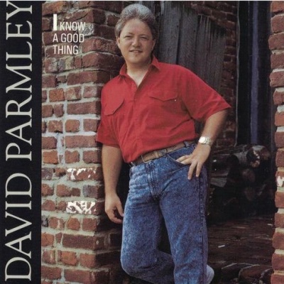 David Parmley | I Know A Good Thing [CD]