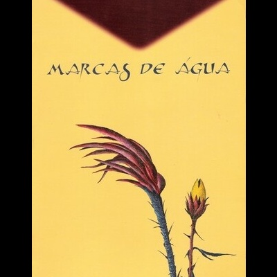 Marcas de Água | de Eduardo Pitta