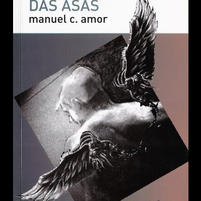 A Metáfora das Asas | de Manuel C. Amor