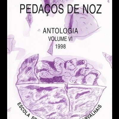 Pedaços de Noz - Volume VI - Antologia 1998 | de Alunos da Escola Secundária Stuart Carvalhais