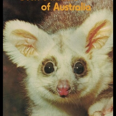 Bush Dwellers of Australia