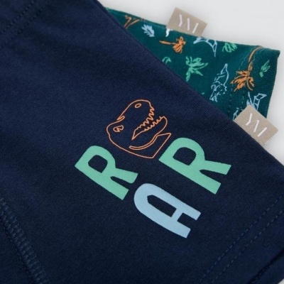 Pacote 2 boxers de menino