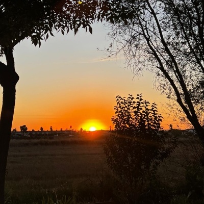 GOLDEN HOUR - Colecção de Outono 2025