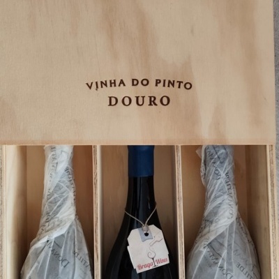 Dona Matilde Vinha do Pinto Tinto 2021.