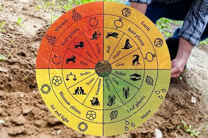 Vinhos Biodinâmicos: Entre a Terra e o Céu Vinhos Biodinâmicos: Entre a Terra e o Céu