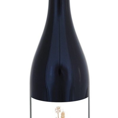 https://www.garrafeiracampodeourique.pt/product/quinta-de-de-sant-ana-pinot-noir-75cl