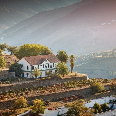Quinta do Noval